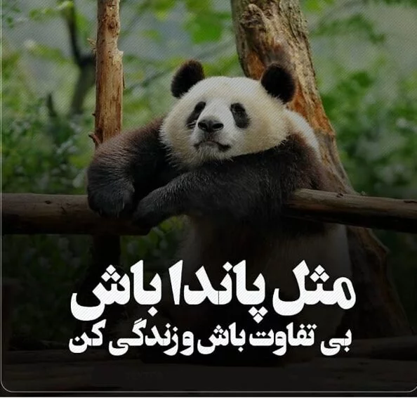 متن بی تفاوت بودن + جملات بی تفاوتی و عکس نوشته برای بی احساسی