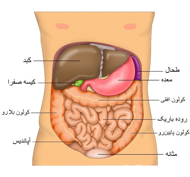 دل درد و 3 مورد از مهم ترین دلایل آن