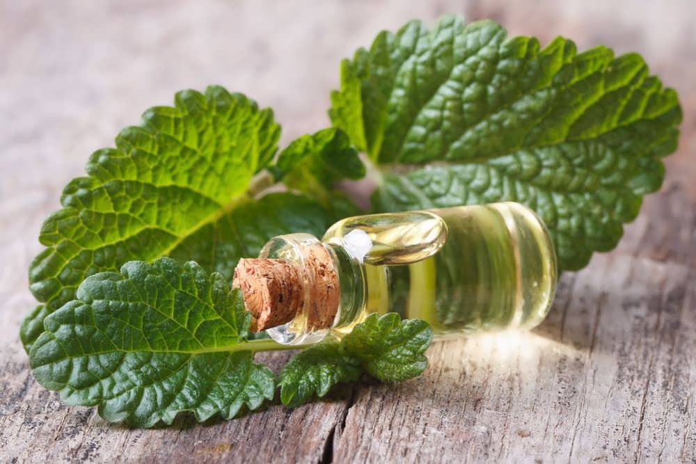 خواص عرق نعنا؛ مزایای مصرف عرق نعنا از تسکین استرس تا تقویت سیستم ایمنی