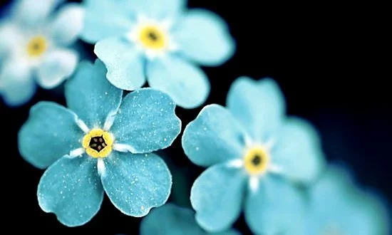 متن پر انرژی برای شروع هفته خوب با جملات زیبا و انگیزشی