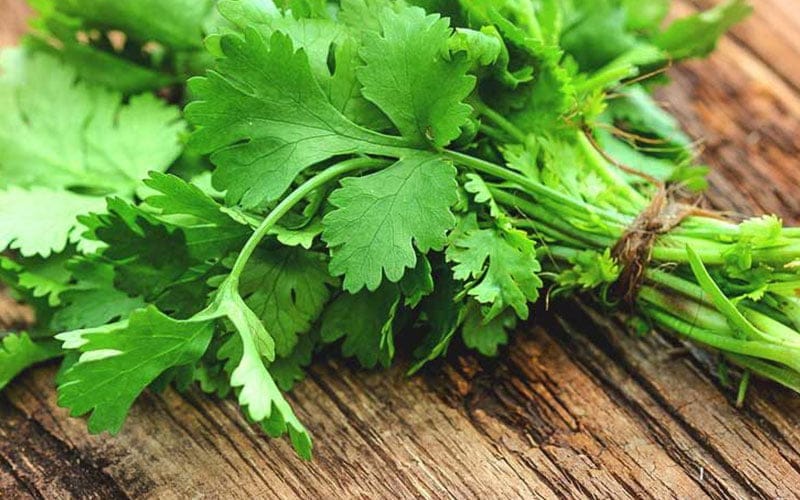 معرفی انواع گیاه برای درمان کم خونی از اسفناج تا زیره سیاه