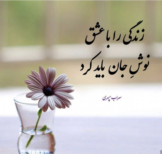 متن فلسفی حال خوب (جملات کوتاه زیبا در مورد زیبایی زندگی و عشق)