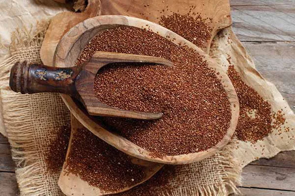 خواص خاکشیر؛ فواید بی نظیر خاکشیر از کاهش وزن تا تقویت سیستم ایمنی