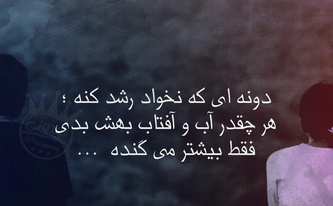 جملات در مورد لیاقت نداشتن و بی لیاقتی (متن سنگین در مورد آدم بی فرهنگ)