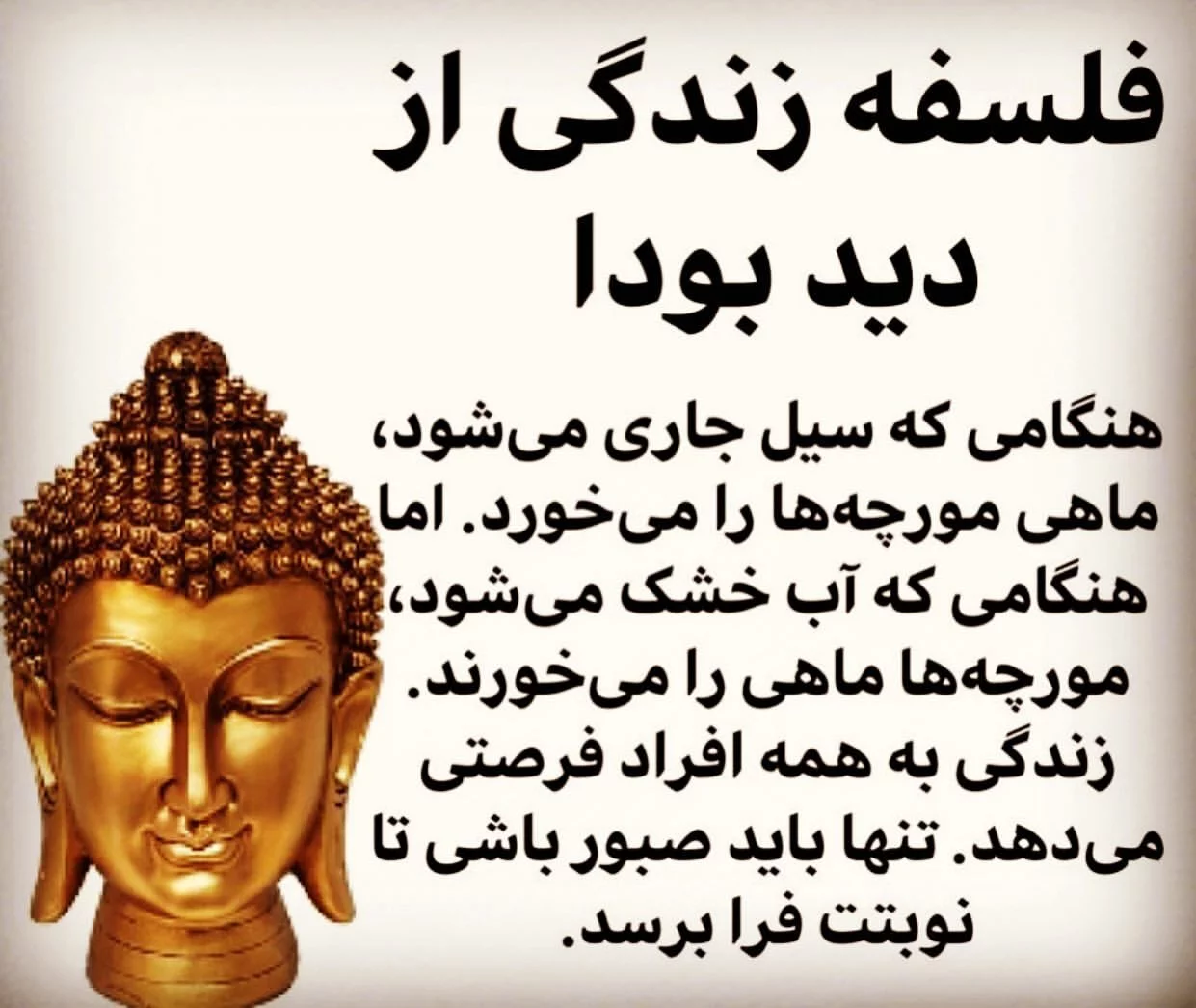 جملات آموزنده بودا + متن و سخنان مفهومی و با معنی بودا