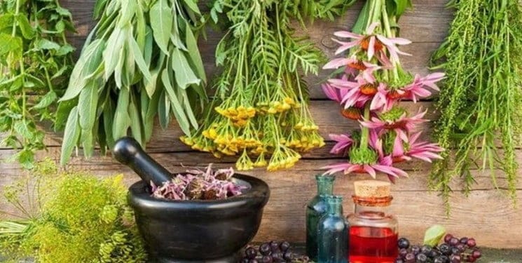 انواع بذر گیاهان دارویی و نحوه استفاده از آن ها انواع بذر گیاهان دارویی و نحوه استفاده از آن ها