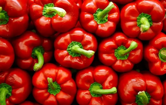 خوراکی های ضد پیری؛ لیست 30 ماده غذایی که باعث جوانی و زیبایی شما می شوند