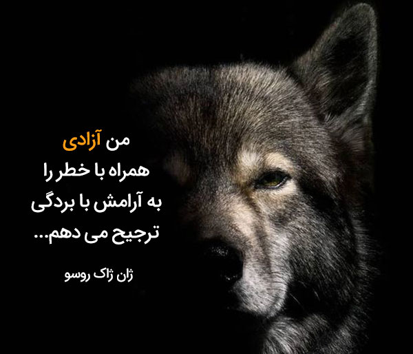 متن در مورد آزادگی + سخنان و جملات کوتاه و آموزنده در مورد آزاده بودن