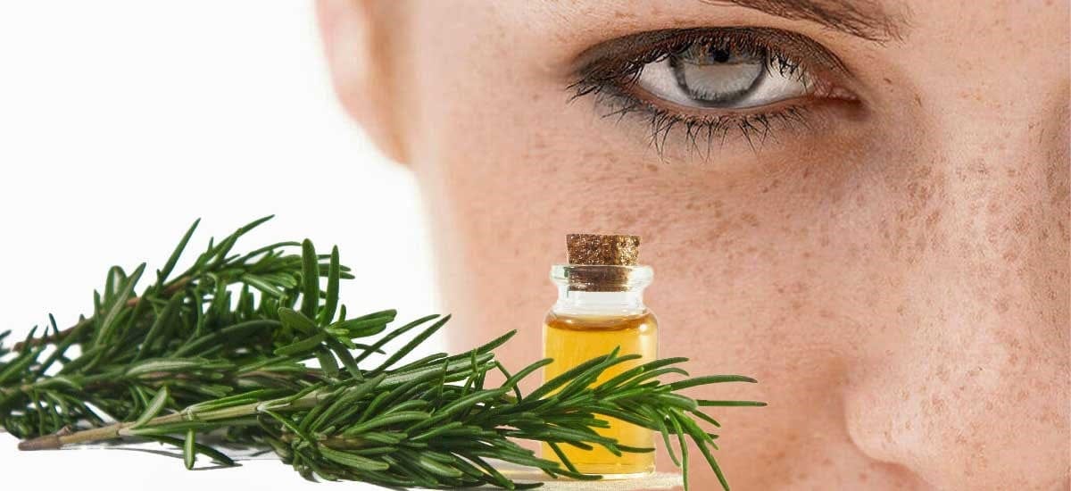 خواص روغن رزماری؛ کاربرد های این روغن برای زیبایی، سلامت و روش تهیه آن