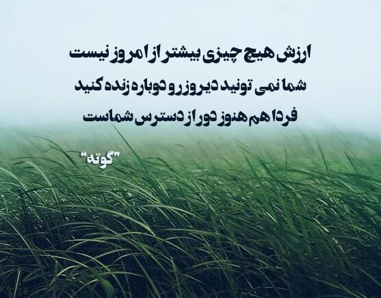 جملات آموزنده گوته شاعر و فیلسوف آلمانی (سخنان و متن های پند آموز و خاص)