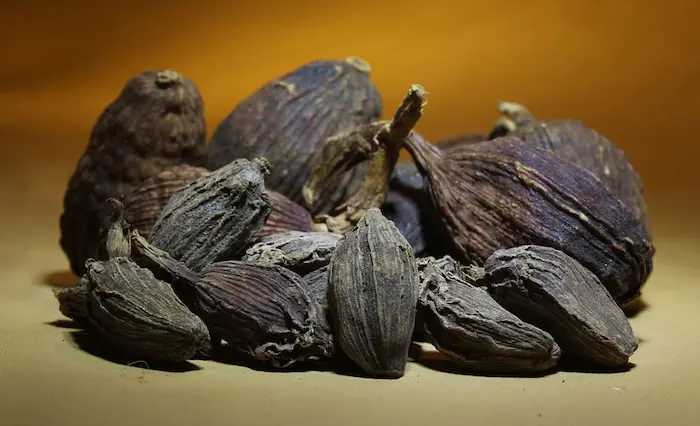 خواص هلیله سیاه گیاه دارویی؛ کاربردها، خواص درمانی و نحوه مصرف آن