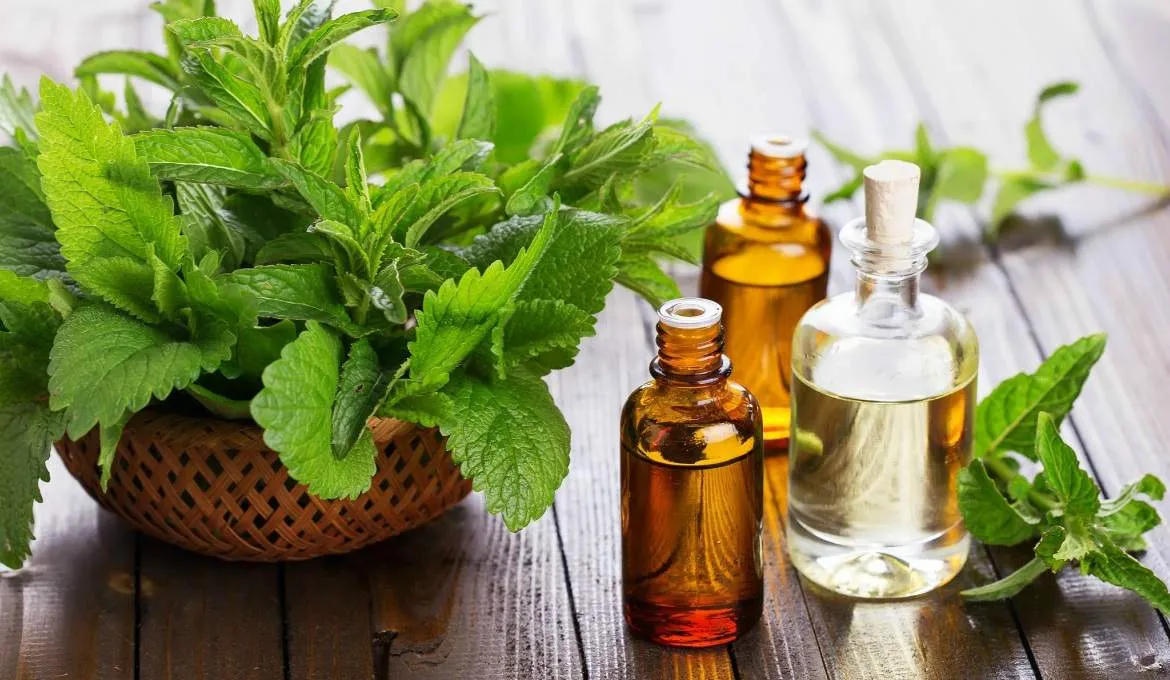 انواع روغن مفید برای صورت؛ 15 روغن مفید برای زیبایی چهره
