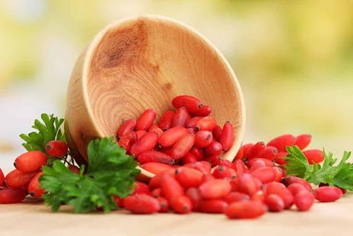 لیست کامل گیاهان دارویی؛ معرفی خواص و مزایا 16 گیاه دارویی معروف