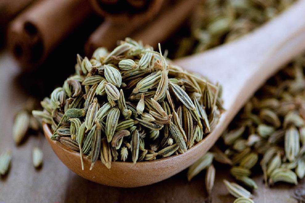 لیست کامل گیاهان دارویی؛ معرفی خواص و مزایا 16 گیاه دارویی معروف