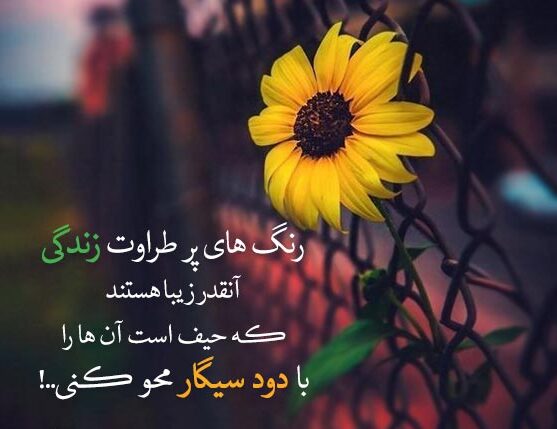 متن در مورد سیگار نکشیدن (جملات زیبا و احساس درباره سیگار)