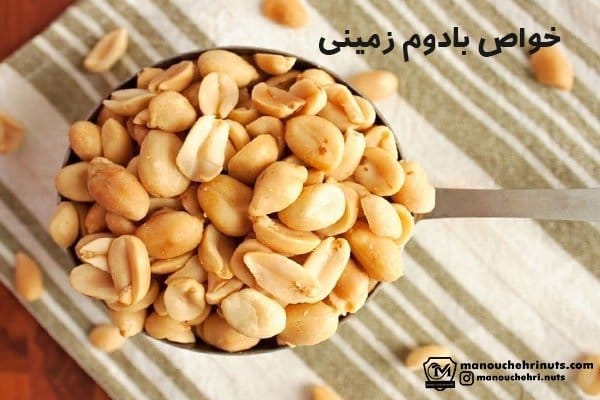 بررسی مهمترین فواید بادام زمینی برای زنان