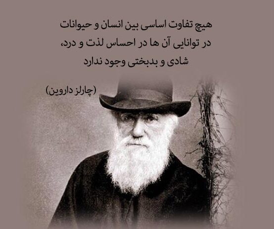 سخنان چارلز داروین زیست شناس معروف + جملات و متن های آموزنده وی