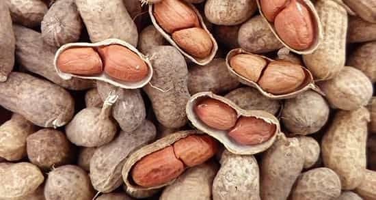 فواید بادام زمینی برای خانم ها (10 خاصیت از کمک به کاهش وزن تا افزایش انرژی) فواید بادام زمینی برای خانم ها (10 خاصیت از کمک به کاهش وزن تا افزایش انرژی)