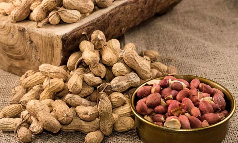 فواید بادام زمینی برای خانم ها (10 خاصیت از کمک به کاهش وزن تا افزایش انرژی) فواید بادام زمینی برای خانم ها (10 خاصیت از کمک به کاهش وزن تا افزایش انرژی)