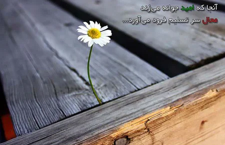 جملات انگیزشی امیدوار کننده و متن های معجزه گر زندگی عالی