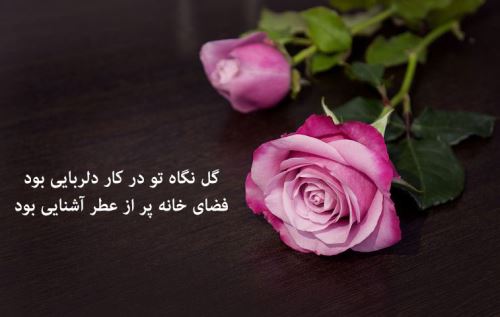 قشنگ ترین جملات در مورد گل با اشعار احساسی و عکس نوشته درباره گل ها