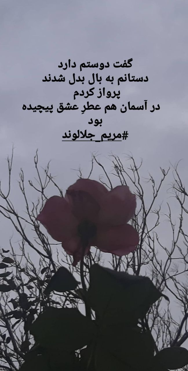 منتخب اشعار مریم جلالوند شاعر و ترانه سرا (غزلیات عاشقانه)