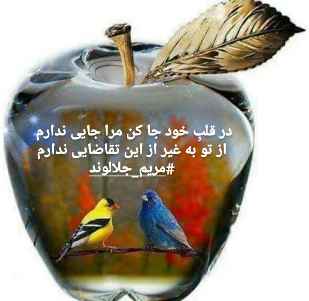 منتخب اشعار مریم جلالوند شاعر و ترانه سرا (غزلیات عاشقانه)