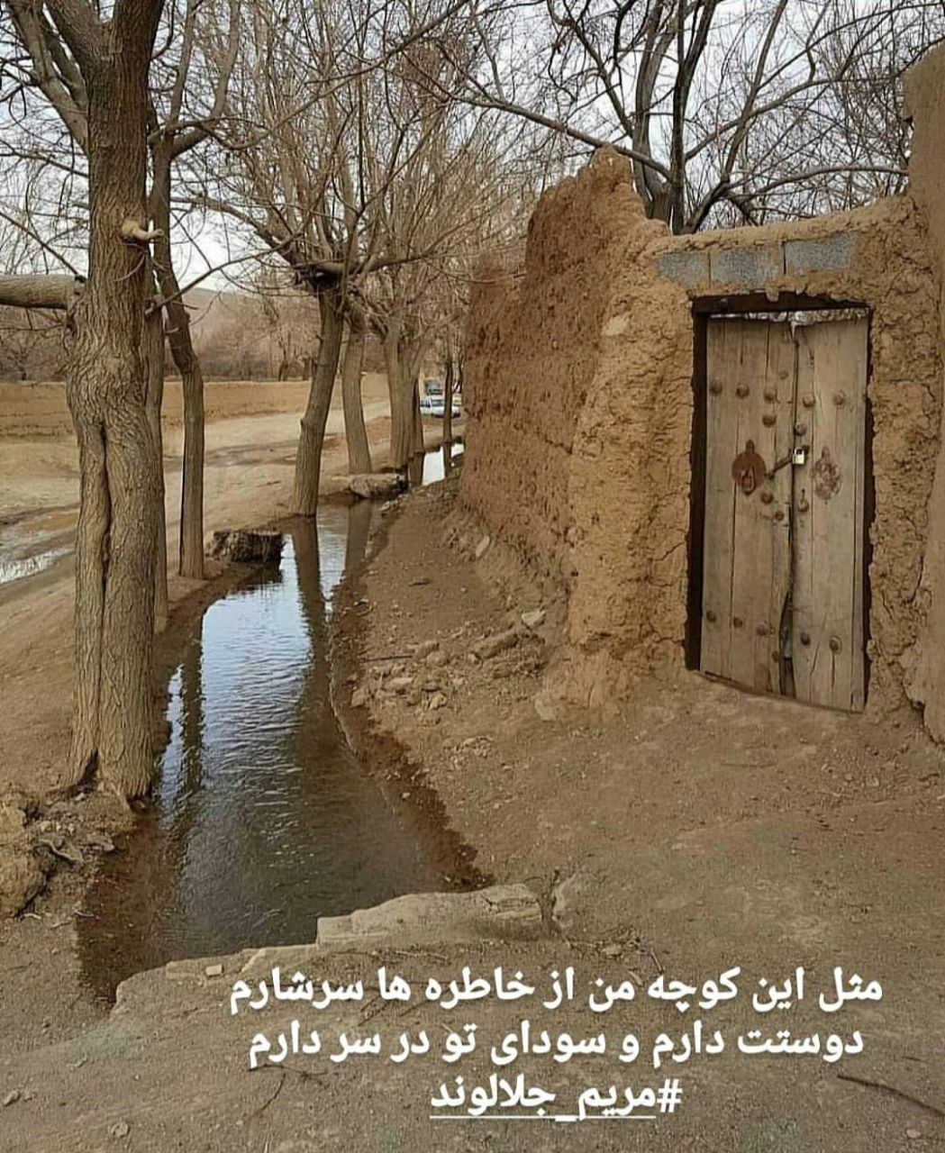 منتخب اشعار مریم جلالوند شاعر و ترانه سرا (غزلیات عاشقانه)