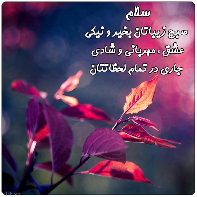 متن صبح بخیر دوستانه + جملات صمیمی و خودمانی برای صبح بخیر گفتن به رفیق