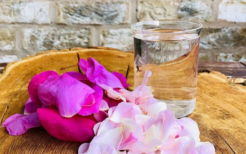 فواید گلاب چیست؟ ۱۲ خواص گلاب، معایب و نحوه استفاده