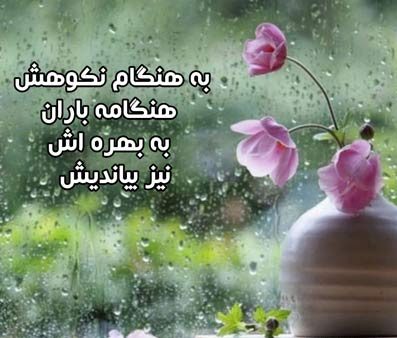 سخنان بزرگان در مورد باران و جملات زیبا در وصف زیبایی باران