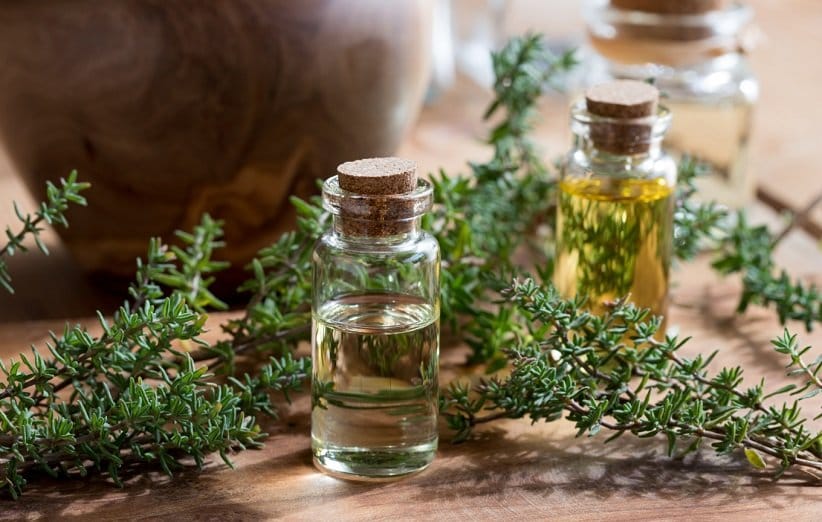 خواص آویشن؛ تمام خواص شگفت انگیز آویشن برای خانم ها و آقایان