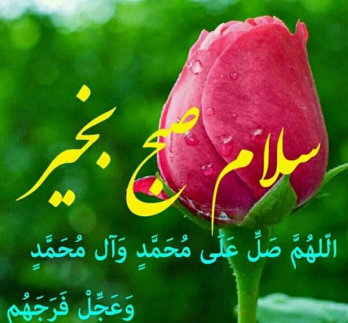 متن صبح بخیر مذهبی کوتاه و جملات معنوی خاص صبحت بخیر