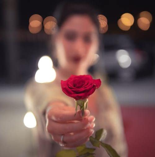 متن گل رز عاشقانه + مجموعه اشعار عاشقی با موضوع گل رز سرخ