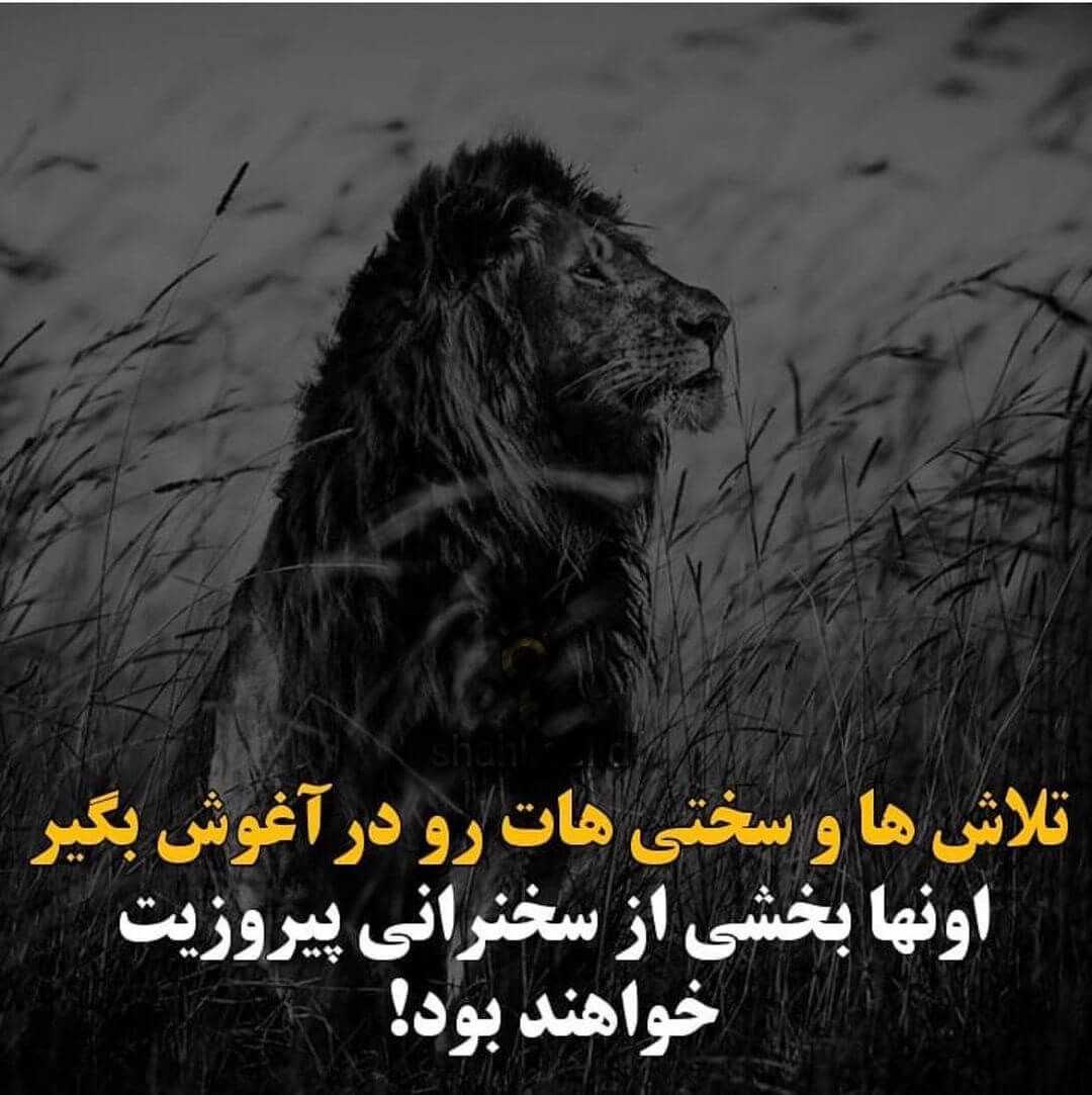 متن انگیزشی بلند جدید با جملات طولانی متفاوت انگیزه بخش به زندگی
