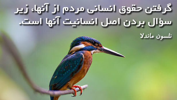 متن و جملات آزادی + عکس نوشته های زیبا با موضوع آزادی
