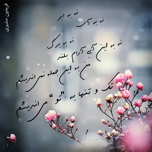 اشعار فریدون مشیری + شعر عاشقانه، در مورد دوست و شعر نو فریدون مشیری