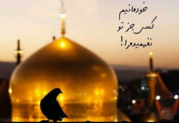 شعر کوتاه برای گفتن زیارت قبولی امام رضا با عکس نوشته و جملات