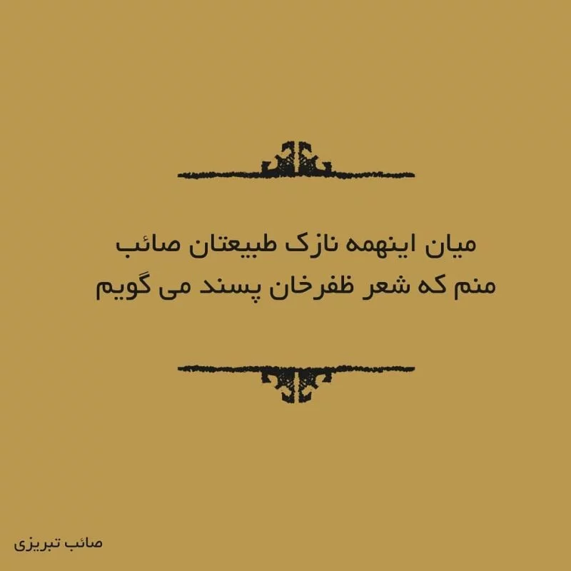 اشعار صائب تبریزی + مجموعه شعر مثنوی قصیده غزلیات تک بیتی و دوبیتی صائب تبریزی