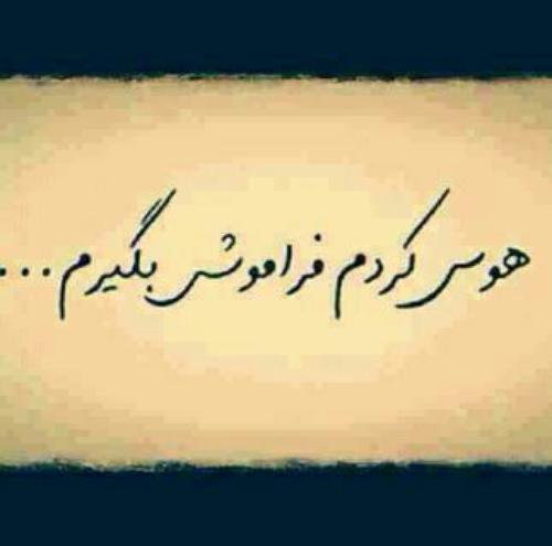 متن در مورد هوس + جملات و سخن بزرگان در مورد هوا و هوس افراد