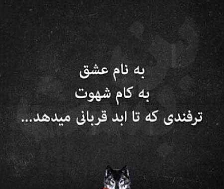 متن در مورد هوس + جملات و سخن بزرگان در مورد هوا و هوس افراد