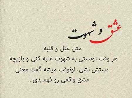 متن در مورد هوس + جملات و سخن بزرگان در مورد هوا و هوس افراد