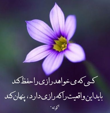 متن در مورد راز و رازداری + جملات و سخنان زیبای بزرگان در مورد رازداری