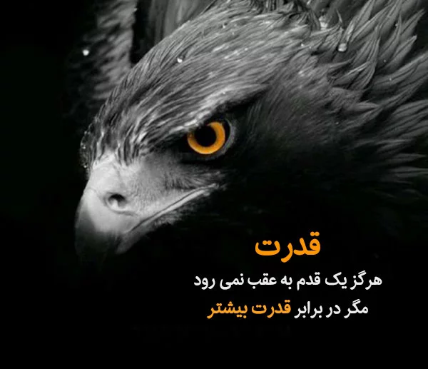 متن در مورد قوی بودن زن و مرد + جملات در مورد قوی بودن خودم