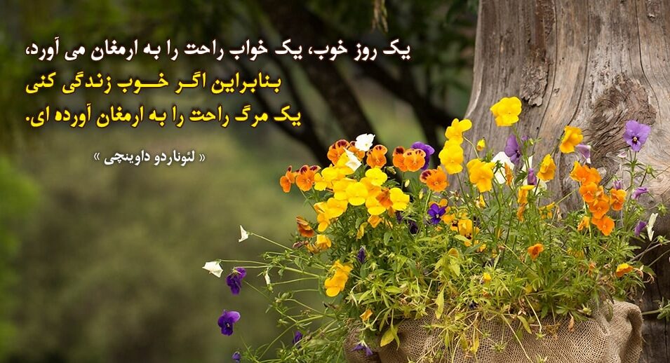 جملات در مورد خواب و رویا + سخنان بزرگان در مورد خوابیدن و رویاها