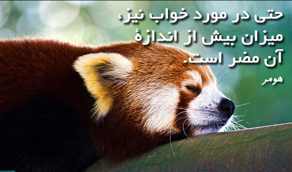 جملات در مورد خواب و رویا + سخنان بزرگان در مورد خوابیدن و رویاها