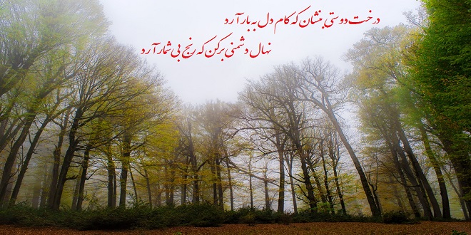 تک بیتی حافظ برای رفیق و دوست با اشعار زیبا در مورد مرام دوست