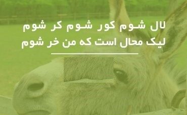 اشعار همام تبریزی با 10 شعر و غزل زیبای عاشقانه از این شاعر