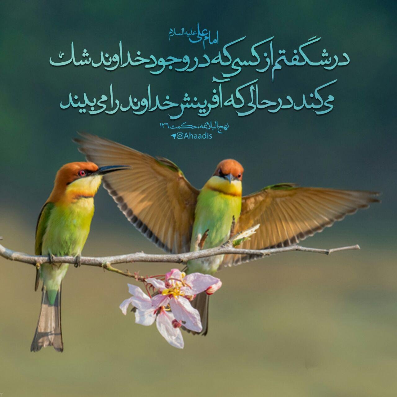 احادیث آموزنده از معصومین و پیامبر و عکس نوشته از سخنان ناب امامان