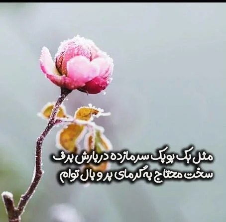 متن عصر جمعه عاشقانه (جملات خاص دلتنگی و حس غریب روز جمعه)